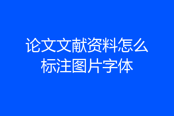 论文文献资料怎么标注图片字体