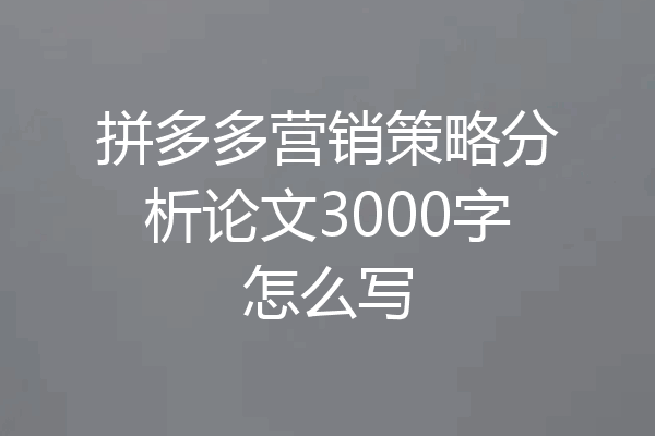 拼多多营销策略分析论文3000字怎么写