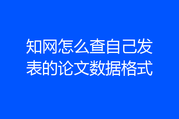 知网怎么查自己发表的论文数据格式