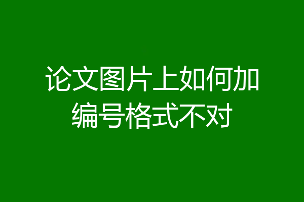 论文图片上如何加编号格式不对