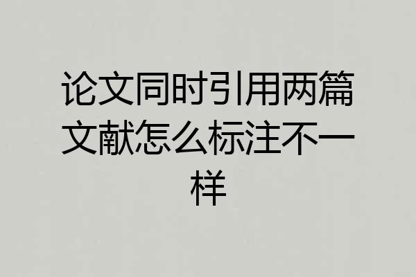 论文同时引用两篇文献怎么标注不一样