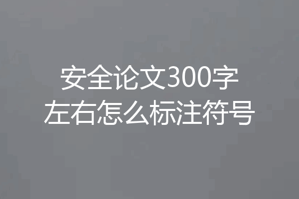 安全论文300字左右怎么标注符号