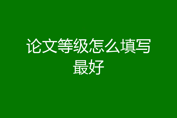 论文等级怎么填写最好