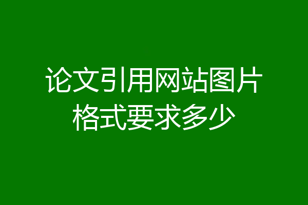 论文引用网站图片格式要求多少