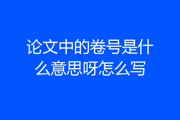 论文中的卷号是什么意思呀怎么写