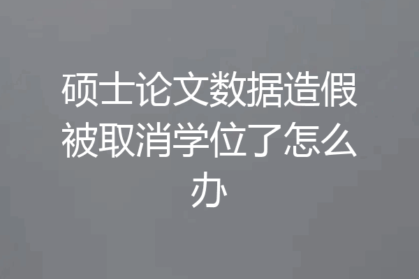 硕士论文数据造假被取消学位了怎么办