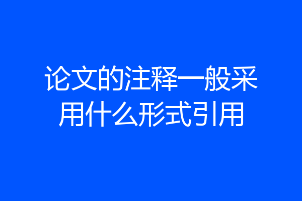 论文的注释一般采用什么形式引用