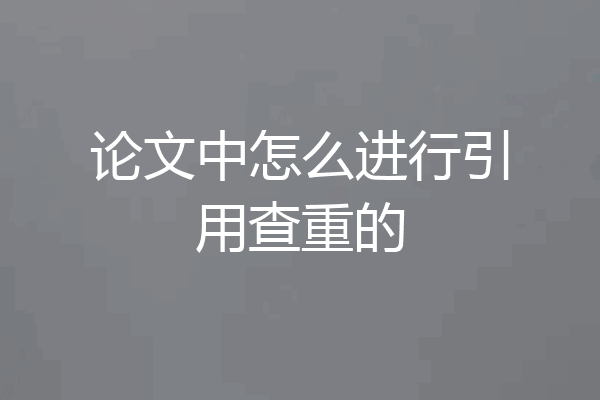 论文中怎么进行引用查重的