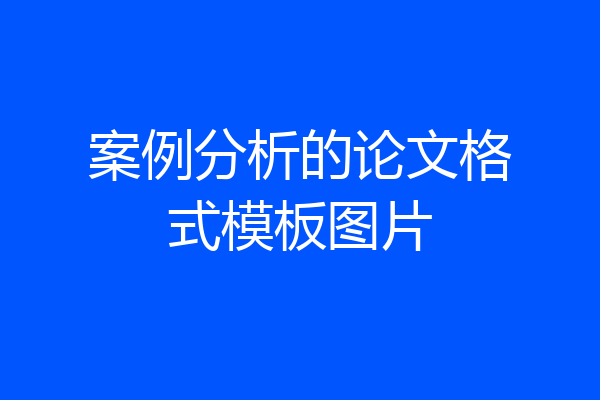 案例分析的论文格式模板图片