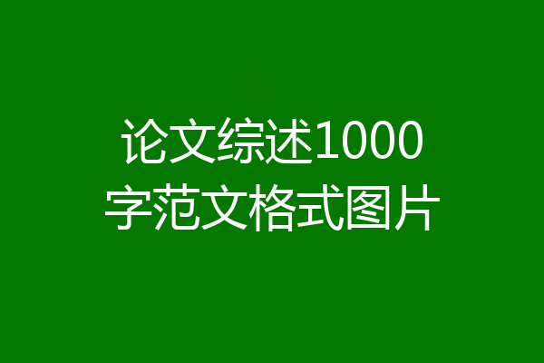 论文综述1000字范文格式图片