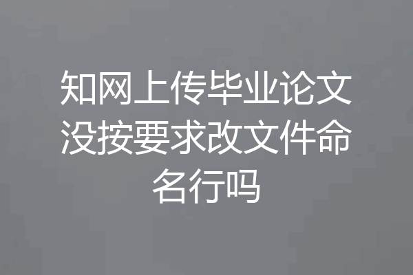 知网上传毕业论文没按要求改文件命名行吗