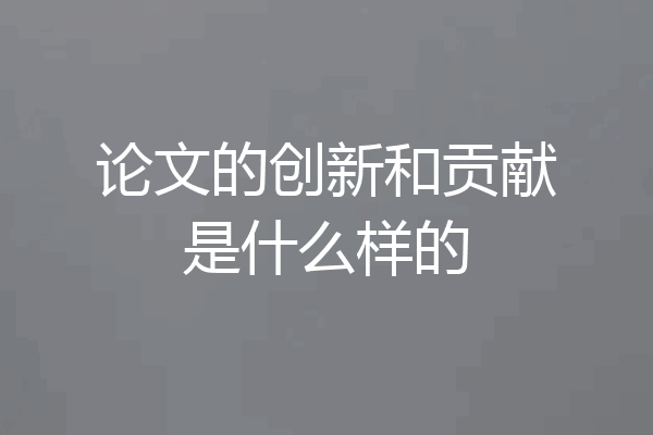 论文的创新和贡献是什么样的