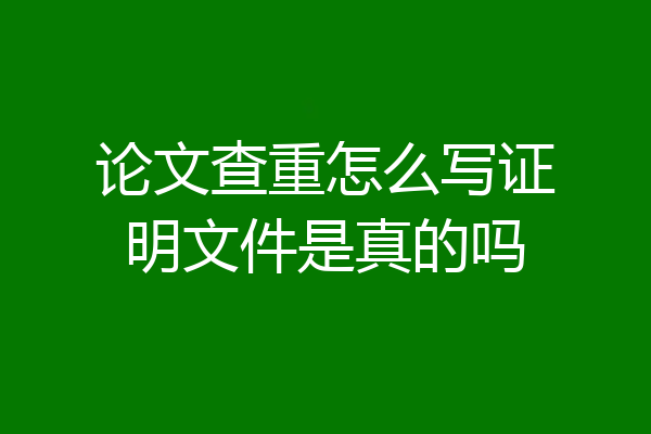 论文查重怎么写证明文件是真的吗