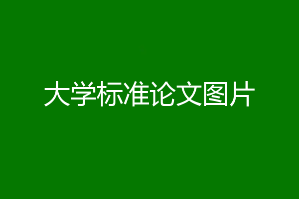 大学标准论文图片