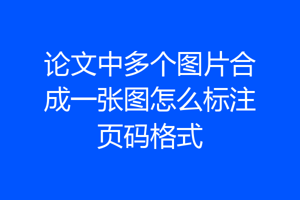 论文中多个图片合成一张图怎么标注页码格式