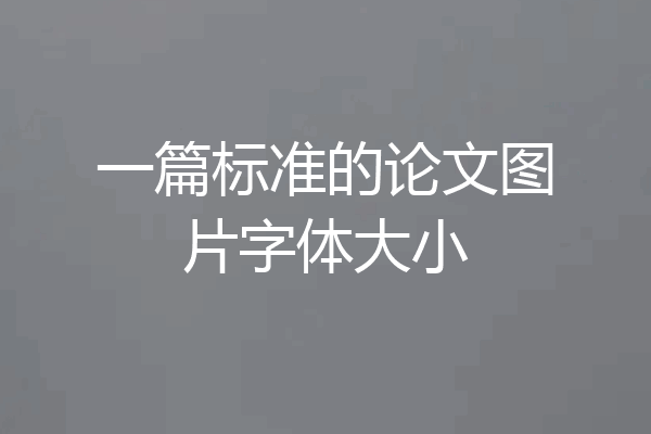 一篇标准的论文图片字体大小
