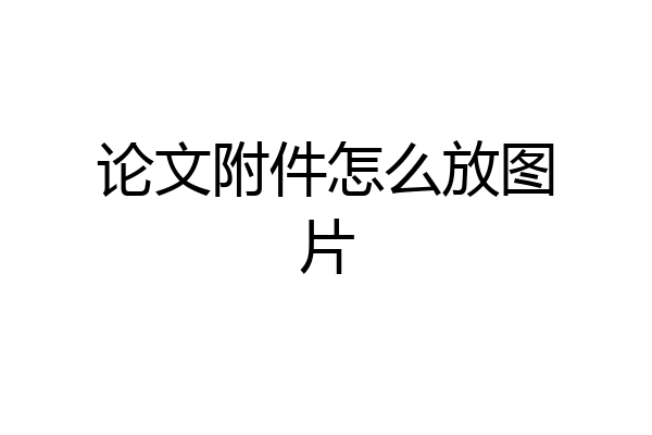 论文附件怎么放图片