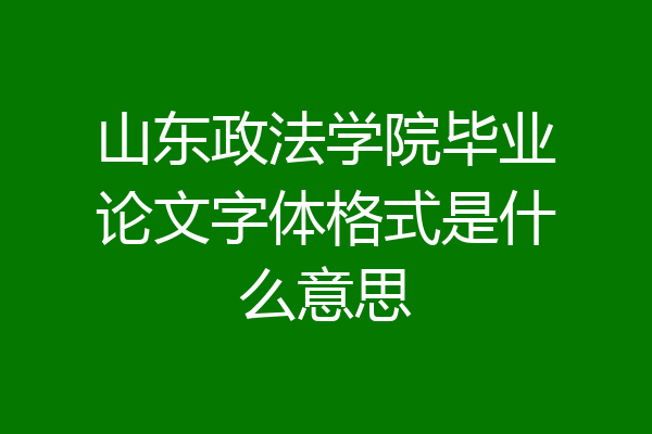 山东政法学院毕业论文字体格式是什么意思