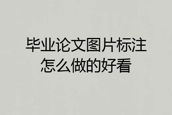 毕业论文图片标注怎么做的好看