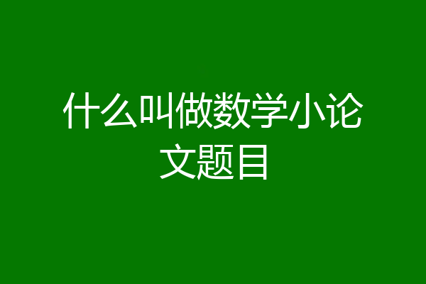 什么叫做数学小论文题目
