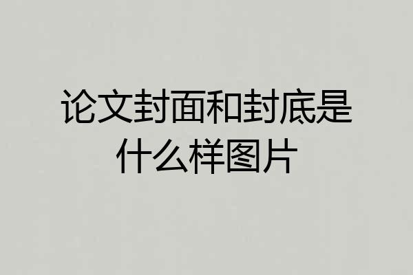 论文封面和封底是什么样图片