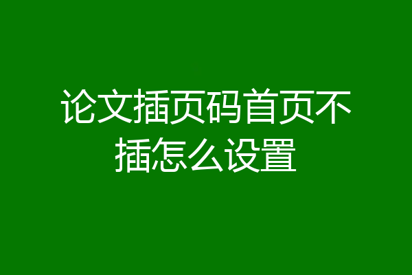 论文插页码首页不插怎么设置