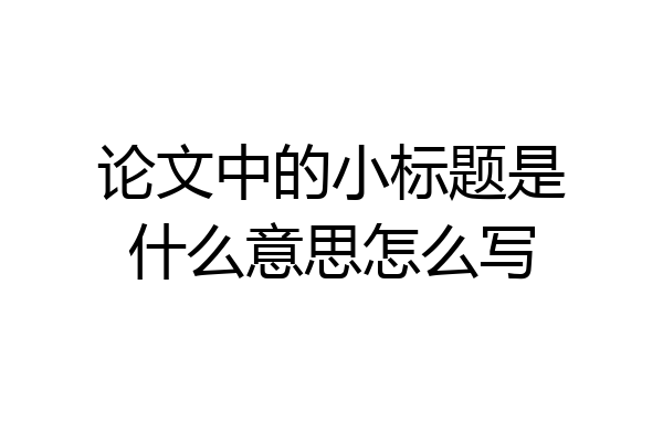 论文中的小标题是什么意思怎么写