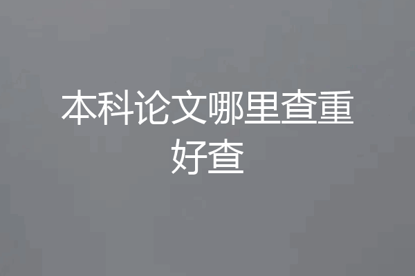 本科论文哪里查重好查