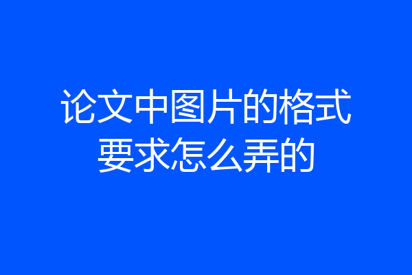 论文中图片的格式要求怎么弄的