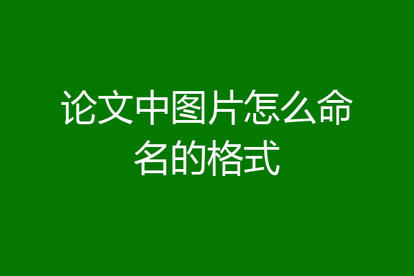 论文中图片怎么命名的格式