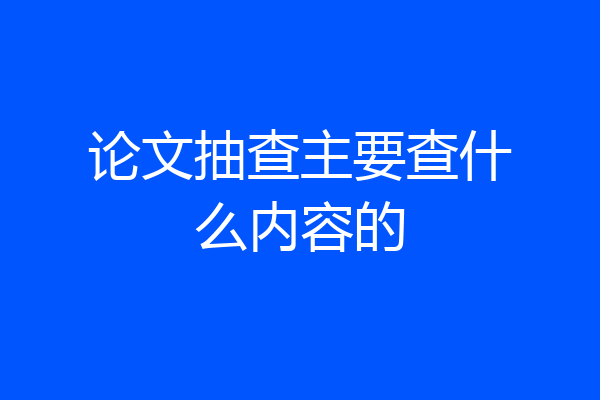 论文抽查主要查什么内容的