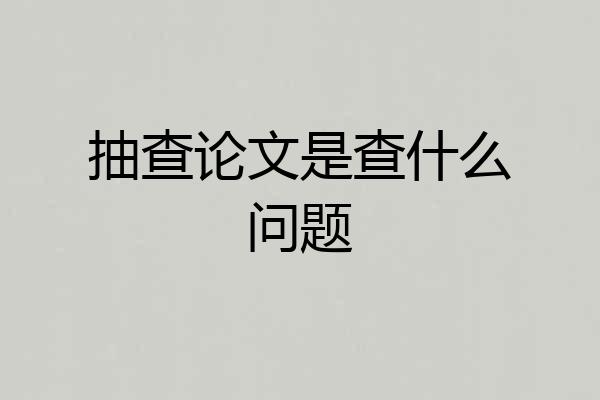 抽查论文是查什么问题
