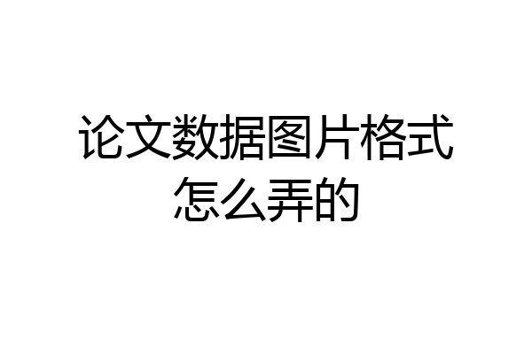 论文数据图片格式怎么弄的