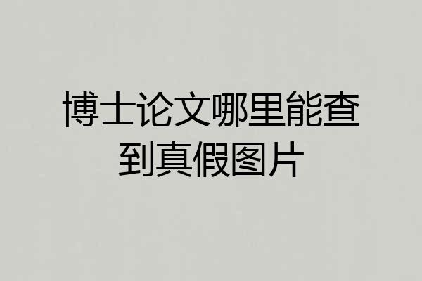 博士论文哪里能查到真假图片