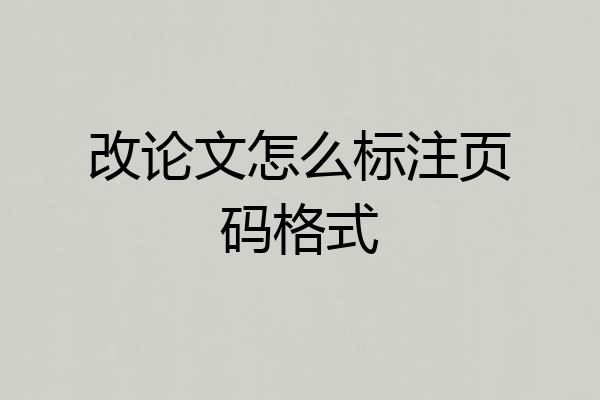 改论文怎么标注页码格式