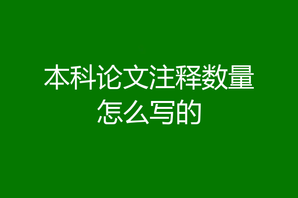 本科论文注释数量怎么写的