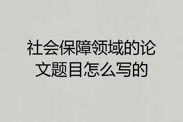 社会保障领域的论文题目怎么写的
