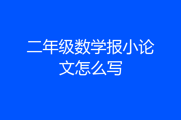 二年级数学报小论文怎么写