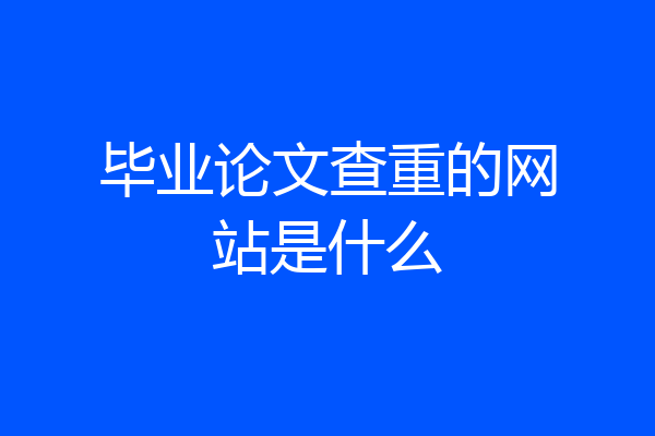 毕业论文查重的网站是什么