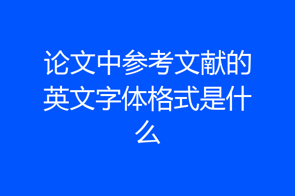 论文中参考文献的英文字体格式是什么