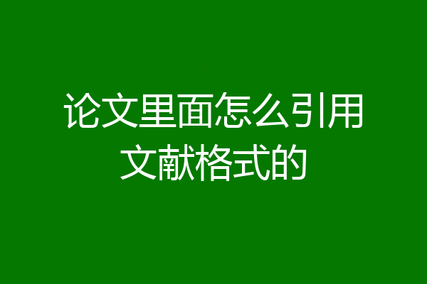 论文里面怎么引用文献格式的
