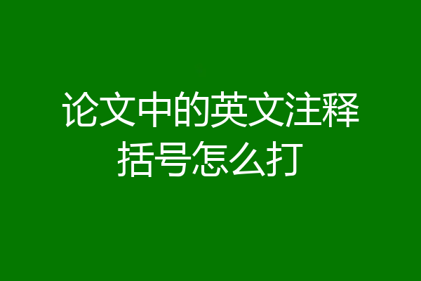 论文中的英文注释括号怎么打