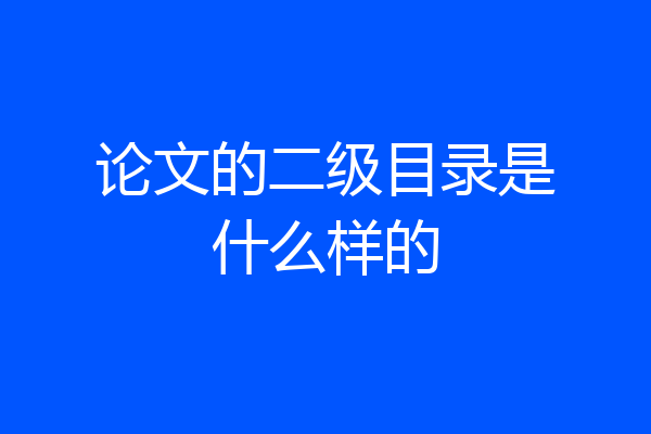 论文的二级目录是什么样的