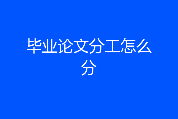毕业论文分工怎么分
