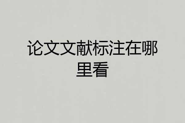 论文文献标注在哪里看