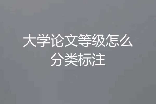 大学论文等级怎么分类标注