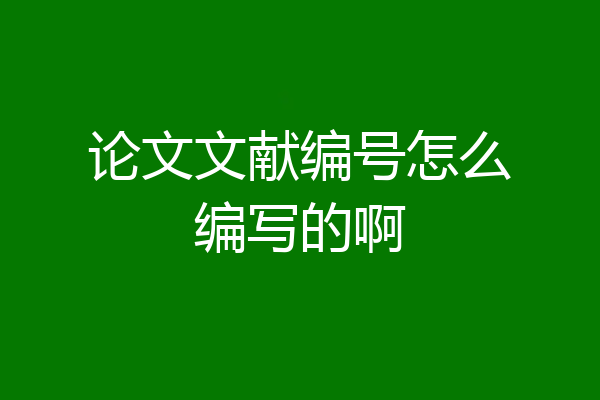 论文文献编号怎么编写的啊