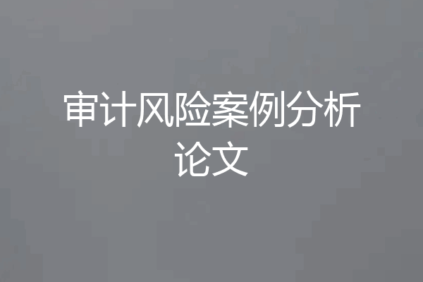 审计风险案例分析论文