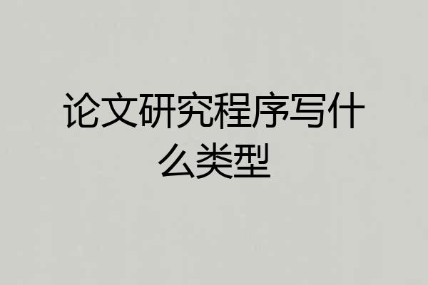 论文研究程序写什么类型