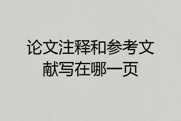 论文注释和参考文献写在哪一页